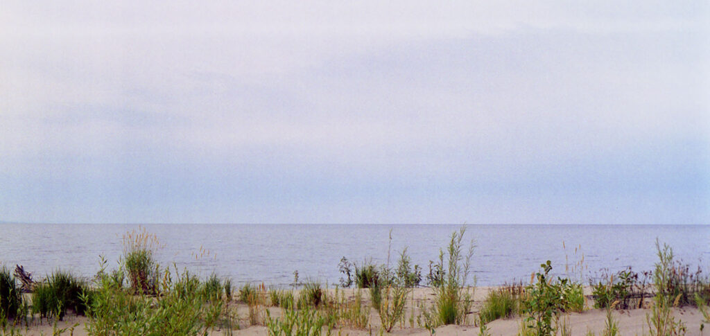 The-Dove-Banner_View_of_Slave_Lake_Shoreline