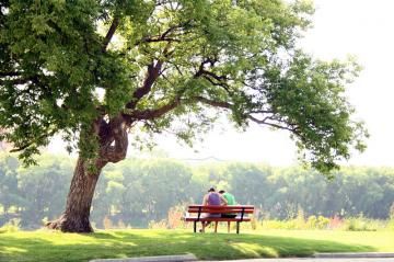 You are currently viewing A Special Message from Harold Giesbrecht (Heart of the South)