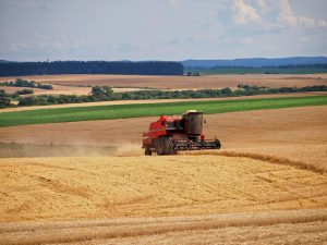 Read more about the article Open Your Eyes and Look at the Fields – What do you see