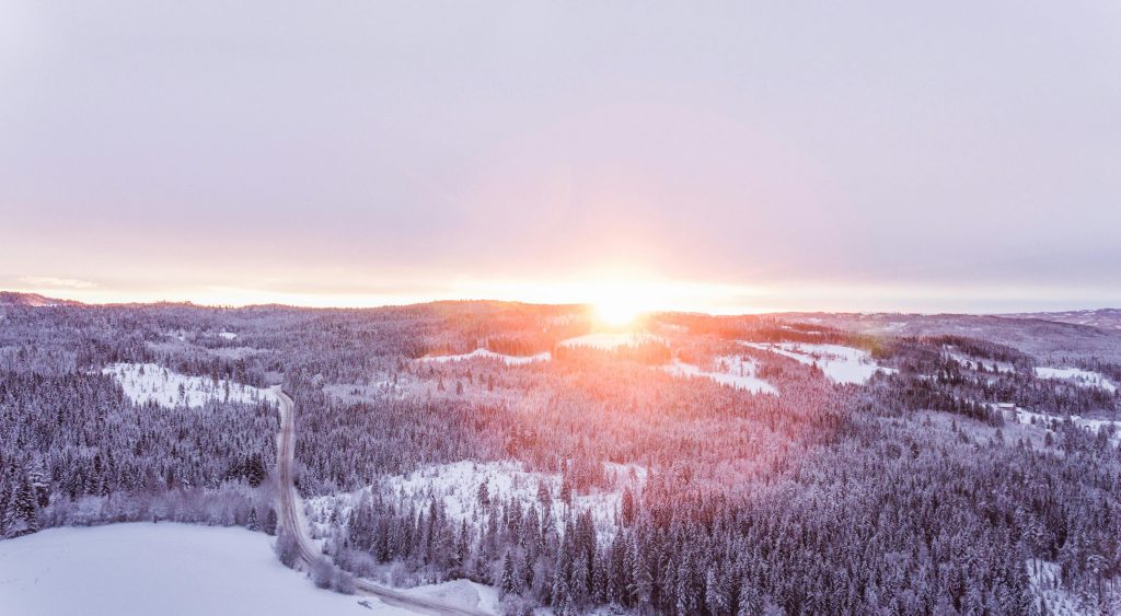 winter nature sun