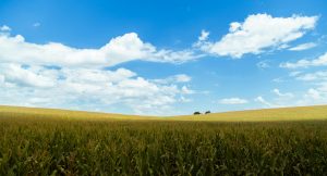 Read more about the article Common Questions & Uncommon Answers