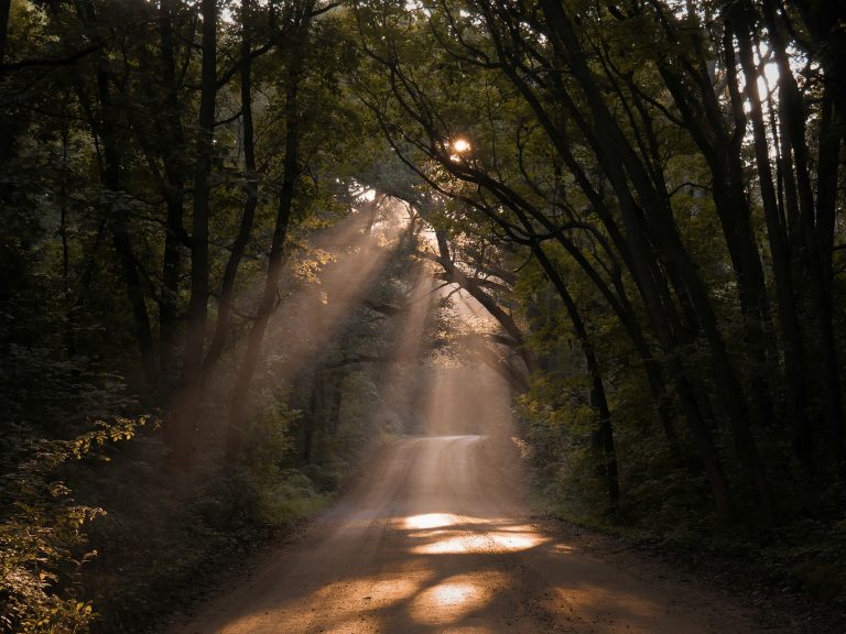 Read more about the article The Unexpected Trip